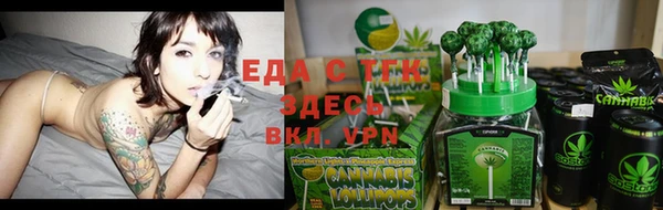хмурый Осинники