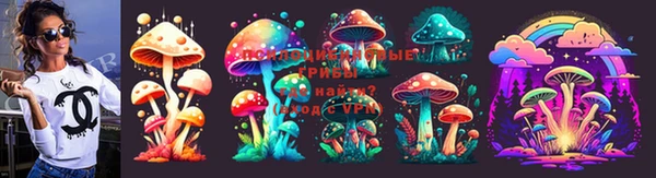 хмурый Осинники