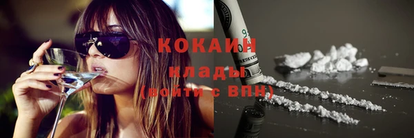 хмурый Осинники