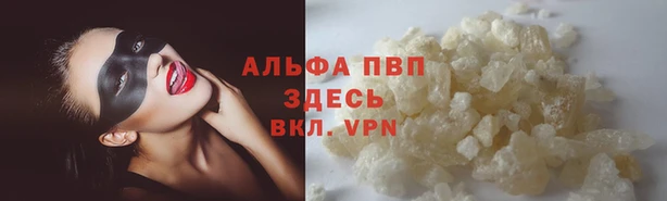 хмурый Осинники