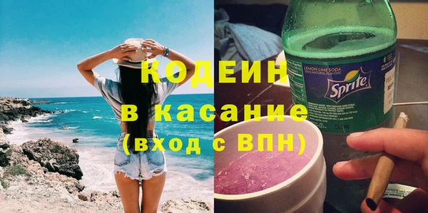 хмурый Осинники