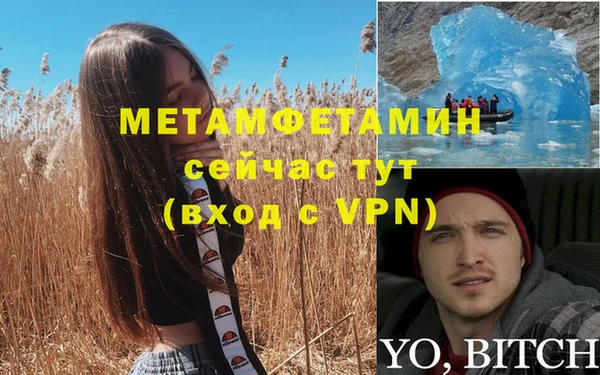 хмурый Осинники