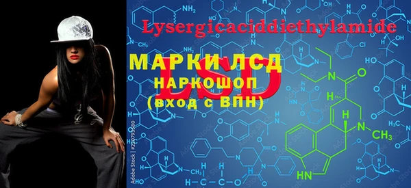 хмурый Осинники