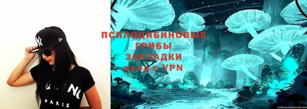 хмурый Осинники