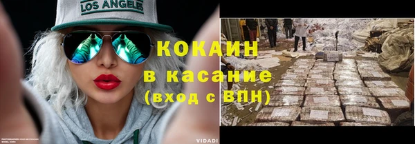 хмурый Осинники
