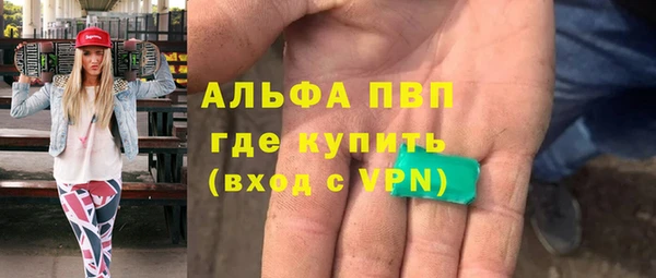 хмурый Осинники