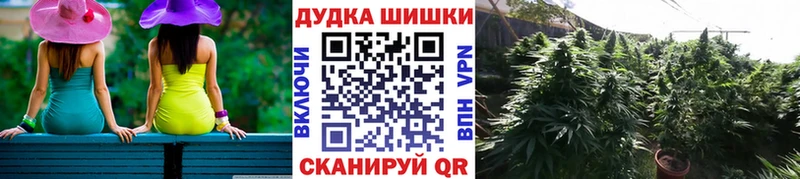 Каннабис индика Купить где Нестеровская
